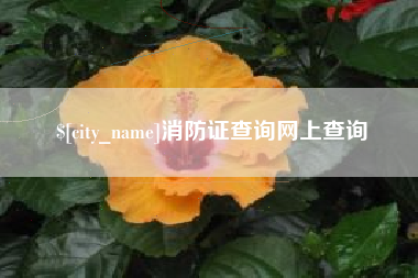 安丘消防证查询网上查询