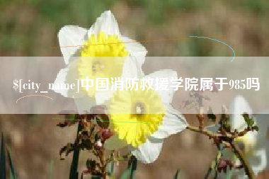 安丘中国消防救援学院属于985吗