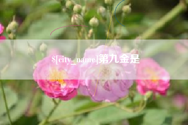 安丘第九金是