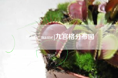 安丘九宫格分布图