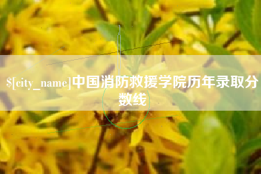 安丘中国消防救援学院历年录取分数线