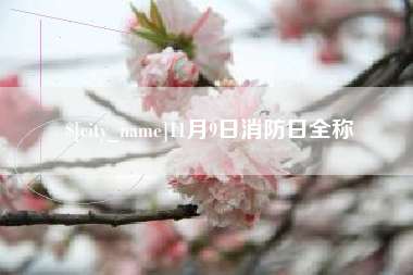 安丘11月9日消防日全称