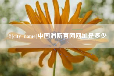 安丘中国消防官网网址是多少