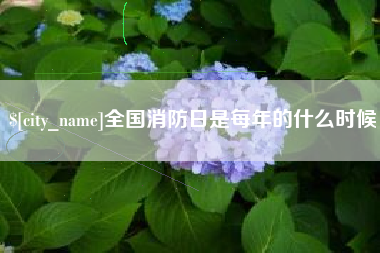 安丘全国消防日是每年的什么时候