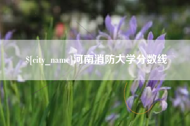 安丘河南消防大学分数线