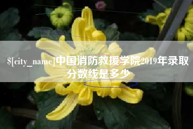 安丘中国消防救援学院2019年录取分数线是多少