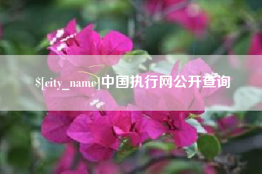 安丘中国执行网公开查询