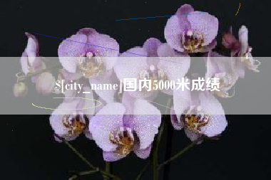 安丘国内5000米成绩