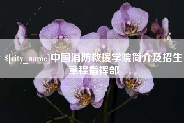 安丘中国消防救援学院简介及招生章程指挥部