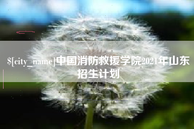 安丘中国消防救援学院2021年山东招生计划