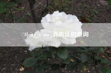 安丘消防证的查询