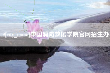 安丘中国消防救援学院官网招生办