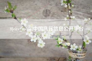 安丘中国执行信息公开平台