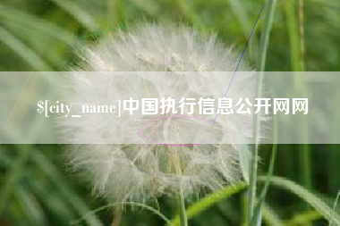 安丘中国执行信息公开网网