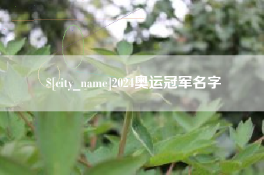 安丘2024奥运冠军名字