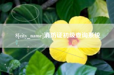 安丘消防证初级查询系统