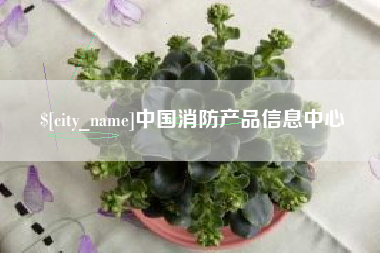 安丘中国消防产品信息中心
