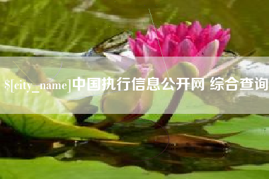 安丘中国执行信息公开网 综合查询