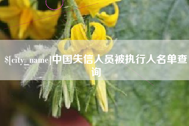 安丘中国失信人员被执行人名单查询