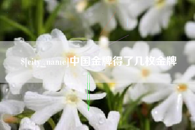 安丘中国金牌得了几枚金牌