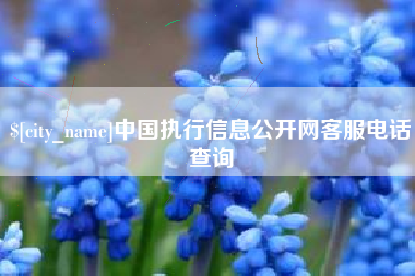 安丘中国执行信息公开网客服电话查询