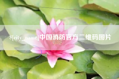 安丘中国消防官方二维码图片