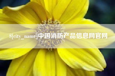 安丘中国消防产品信息网官网