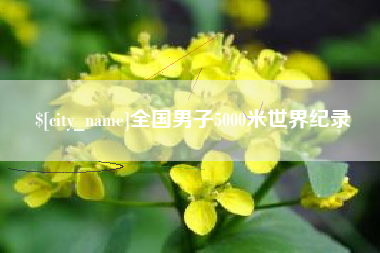 安丘全国男子5000米世界纪录