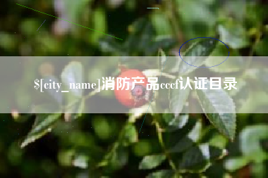 安丘消防产品cccf认证目录