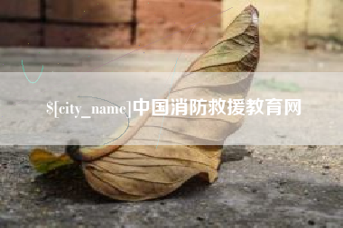 安丘中国消防救援教育网