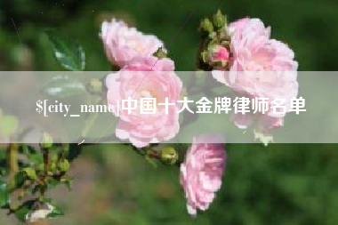 安丘中国十大金牌律师名单