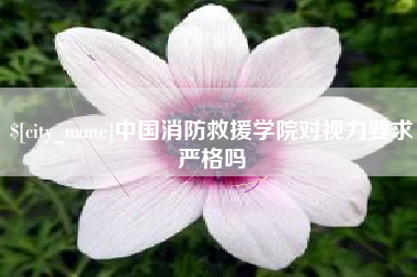 安丘中国消防救援学院对视力要求严格吗