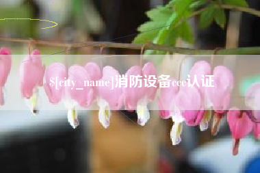 安丘消防设备ccc认证