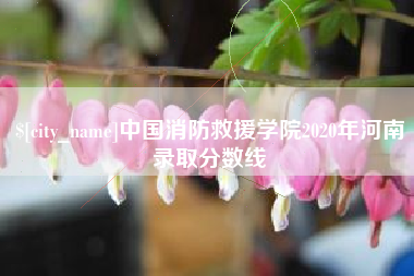 安丘中国消防救援学院2020年河南录取分数线