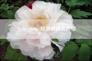 安丘应急救援员价格