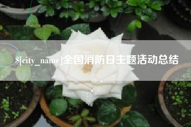 安丘全国消防日主题活动总结