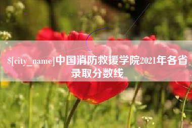 安丘中国消防救援学院2021年各省录取分数线