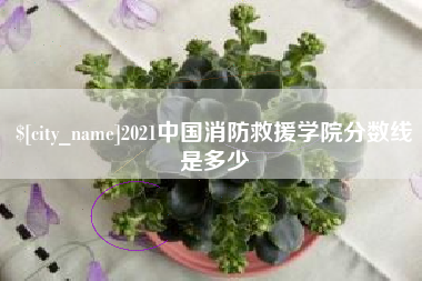 安丘2021中国消防救援学院分数线是多少