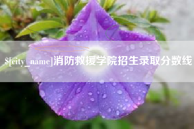 安丘消防救援学院招生录取分数线