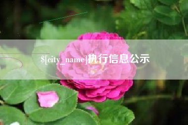 安丘执行信息公示
