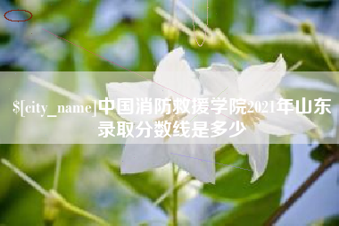 安丘中国消防救援学院2021年山东录取分数线是多少