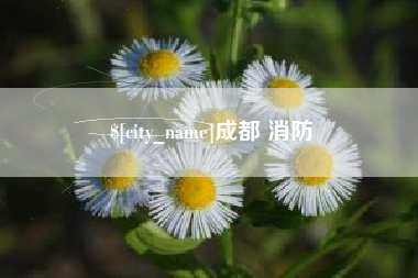 安丘成都 消防