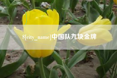 安丘中国队九块金牌