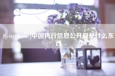 安丘中国执行信息公开网是什么东西