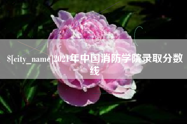 安丘2021年中国消防学院录取分数线