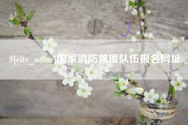 安丘国家消防救援队伍报名网址