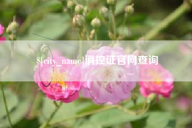 安丘消控证官网查询