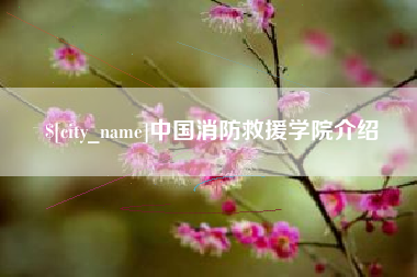 安丘中国消防救援学院介绍