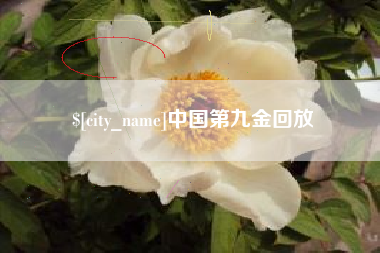安丘中国第九金回放