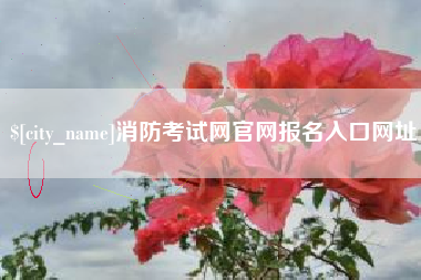 安丘消防考试网官网报名入口网址